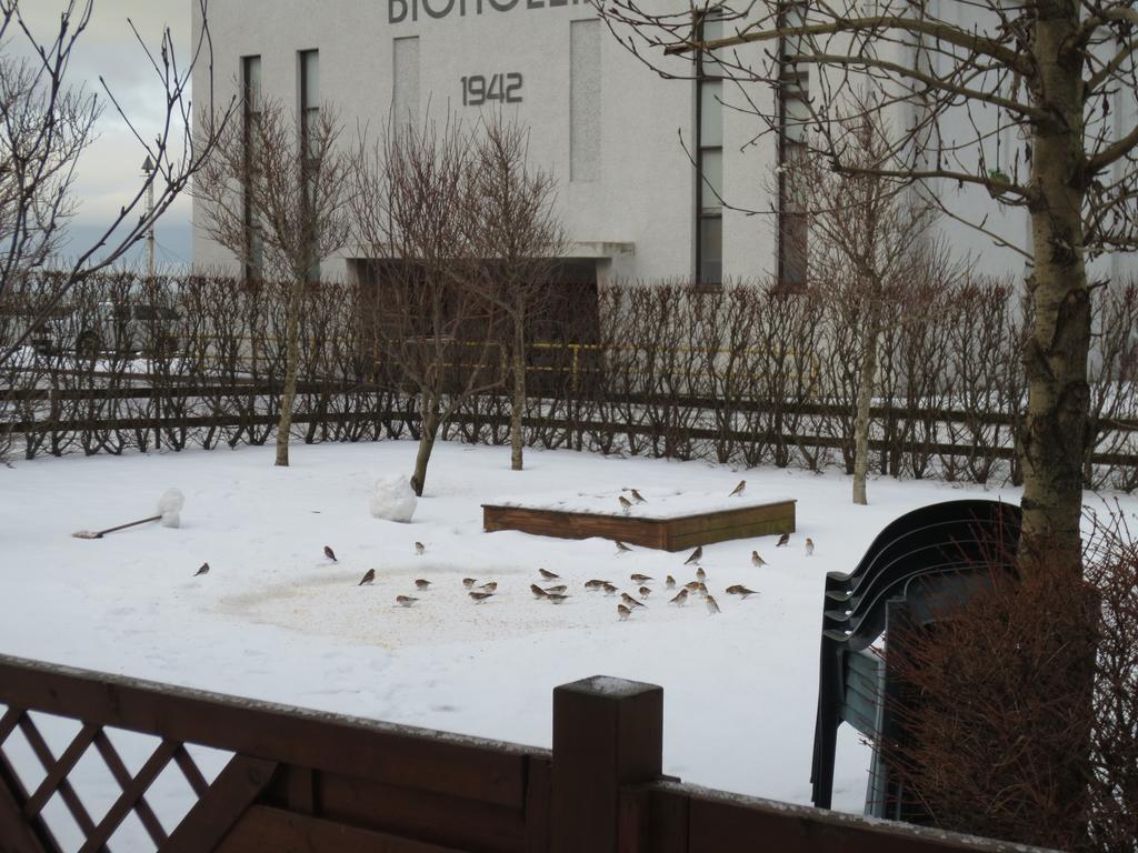 Teigur Guesthouse Akranes Esterno foto